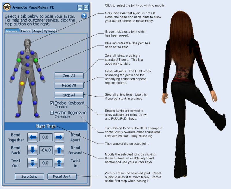 PoseMaker Animate Tab